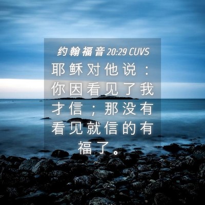 Picture 04 - 约 翰 福 音 20:29 CUVS - 耶 稣 对 他 说 ： 你 因 看 见 了 我 - Bible Verse Picture