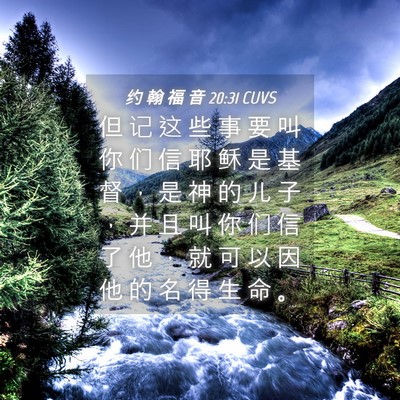 Picture 04 - 约 翰 福 音 20:31 CUVS - 但 记 这 些 事 要 叫 你 们 信 耶 稣 - Bible Verse Picture