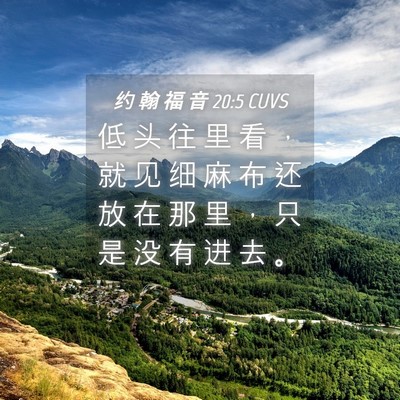 Picture 04 - 约 翰 福 音 20:5 CUVS - 低 头 往 里 看 ， 就 见 细 麻 布 还 - Bible Verse Picture