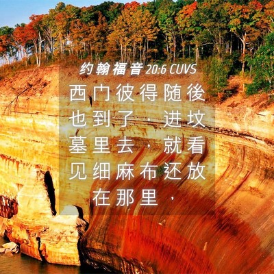 Picture 04 - 约 翰 福 音 20:6 CUVS - 西 门 彼 得 随 後 也 到 了 ， 进 坟 - Bible Verse Picture