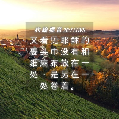 Picture 04 - 约 翰 福 音 20:7 CUVS - 又 看 见 耶 稣 的 裹 头 巾 没 有 和 - Bible Verse Picture