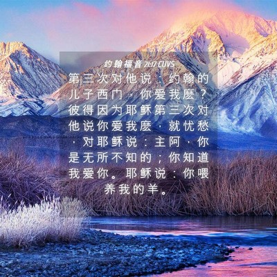 Picture 04 - 约 翰 福 音 21:17 CUVS - 第 三 次 对 他 说 ： 约 翰 的 儿 子 - Bible Verse Picture