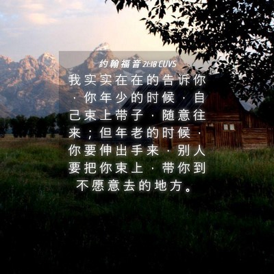 Picture 04 - 约 翰 福 音 21:18 CUVS - 我 实 实 在 在 的 告 诉 你 ， 你 年 - Bible Verse Picture