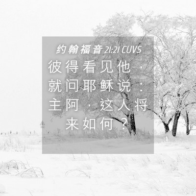 Picture 04 - 约 翰 福 音 21:21 CUVS - 彼 得 看 见 他 ， 就 问 耶 稣 说 ： - Bible Verse Picture