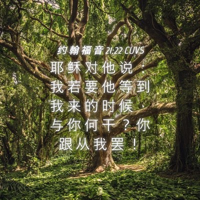 Picture 04 - 约 翰 福 音 21:22 CUVS - 耶 稣 对 他 说 ： 我 若 要 他 等 到 - Bible Verse Picture