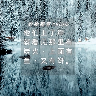 Picture 04 - 约 翰 福 音 21:9 CUVS - 他 们 上 了 岸 ， 就 看 见 那 里 有 - Bible Verse Picture