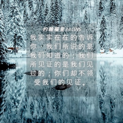 Picture 04 - 约 翰 福 音 3:11 CUVS - 我 实 实 在 在 的 告 诉 你 ， 我 们 - Bible Verse Picture