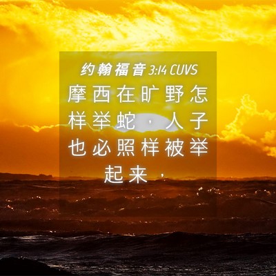 Picture 04 - 约 翰 福 音 3:14 CUVS - 摩 西 在 旷 野 怎 样 举 蛇 ， 人 子 - Bible Verse Picture