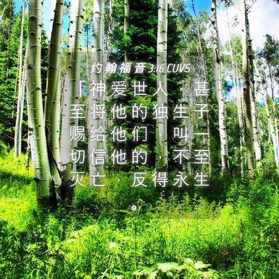Picture 04 - 约 翰 福 音 3:16 CUVS - 「 神 爱 世 人 ， 甚 至 将 他 的 独 - Bible Verse Picture