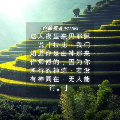 Picture 04 - 约 翰 福 音 3:2 CUVS - 这 人 夜 里 来 见 耶 稣 ， 说 「 拉 - Bible Verse Picture