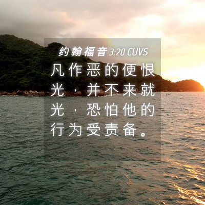 Picture 04 - 约 翰 福 音 3:20 CUVS - 凡 作 恶 的 便 恨 光 ， 并 不 来 就 - Bible Verse Picture
