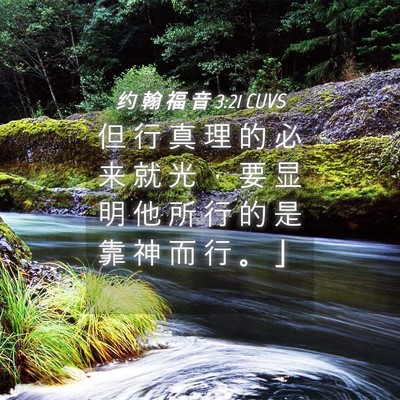 Picture 04 - 约 翰 福 音 3:21 CUVS - 但 行 真 理 的 必 来 就 光 ， 要 显 - Bible Verse Picture