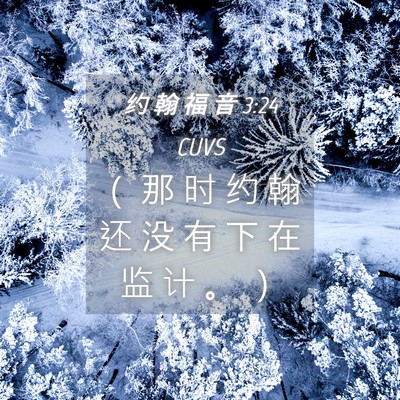 Picture 04 - 约 翰 福 音 3:24 CUVS - （ 那 时 约 翰 还 没 有 下 在 监 计 - Bible Verse Picture