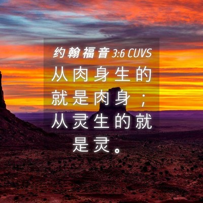 Picture 04 - 约 翰 福 音 3:6 CUVS - 从 肉 身 生 的 就 是 肉 身 ； 从 灵 - Bible Verse Picture