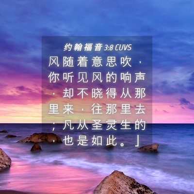 Picture 04 - 约 翰 福 音 3:8 CUVS - 风 随 着 意 思 吹 ， 你 听 见 风 的 - Bible Verse Picture