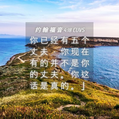Picture 04 - 约 翰 福 音 4:18 CUVS - 你 已 经 有 五 个 丈 夫 ， 你 现 在 - Bible Verse Picture