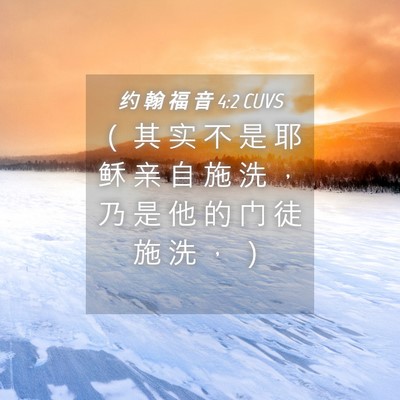 Picture 04 - 约 翰 福 音 4:2 CUVS - （ 其 实 不 是 耶 稣 亲 自 施 洗 ， - Bible Verse Picture