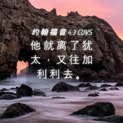 Picture 04 - 约 翰 福 音 4:3 CUVS - 他 就 离 了 犹 太 ， 又 往 加 利 利 - Bible Verse Picture