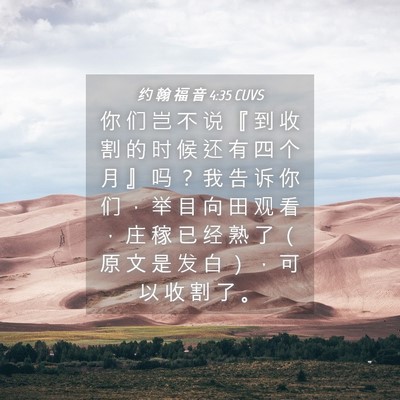 Picture 04 - 约 翰 福 音 4:35 CUVS - 你 们 岂 不 说 『 到 收 割 的 时 候 - Bible Verse Picture