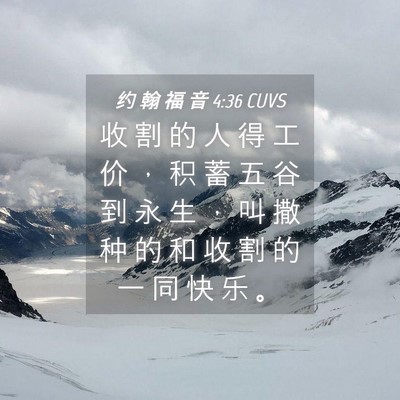 Picture 04 - 约 翰 福 音 4:36 CUVS - 收 割 的 人 得 工 价 ， 积 蓄 五 谷 - Bible Verse Picture