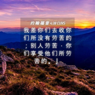 Picture 04 - 约 翰 福 音 4:38 CUVS - 我 差 你 们 去 收 你 们 所 没 有 劳 - Bible Verse Picture