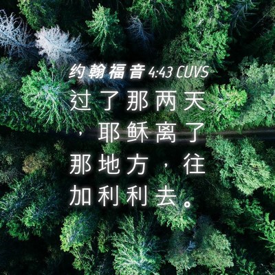 Picture 04 - 约 翰 福 音 4:43 CUVS - 过 了 那 两 天 ， 耶 稣 离 了 那 地 - Bible Verse Picture
