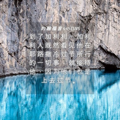 Picture 04 - 约 翰 福 音 4:45 CUVS - 到 了 加 利 利 ， 加 利 利 人 既 然 - Bible Verse Picture