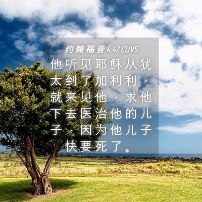 Picture 04 - 约 翰 福 音 4:47 CUVS - 他 听 见 耶 稣 从 犹 太 到 了 加 利 - Bible Verse Picture