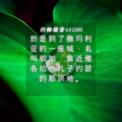Picture 04 - 约 翰 福 音 4:5 CUVS - 於 是 到 了 撒 玛 利 亚 的 一 座 城 - Bible Verse Picture
