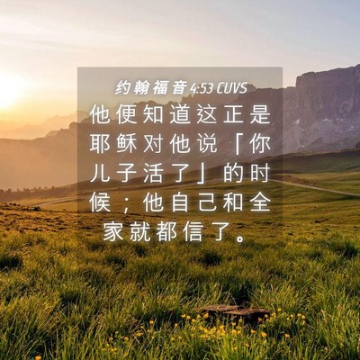 Picture 04 - 约 翰 福 音 4:53 CUVS - 他 便 知 道 这 正 是 耶 稣 对 他 说 - Bible Verse Picture