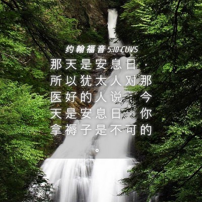 Picture 04 - 约 翰 福 音 5:10 CUVS - 那 天 是 安 息 日 ， 所 以 犹 太 人 - Bible Verse Picture