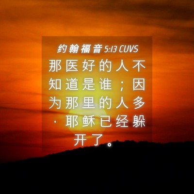 Picture 04 - 约 翰 福 音 5:13 CUVS - 那 医 好 的 人 不 知 道 是 谁 ； 因 - Bible Verse Picture