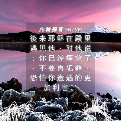 Picture 04 - 约 翰 福 音 5:14 CUVS - 後 来 耶 稣 在 殿 里 遇 见 他 ， 对 - Bible Verse Picture