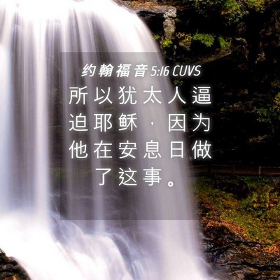 Picture 04 - 约 翰 福 音 5:16 CUVS - 所 以 犹 太 人 逼 迫 耶 稣 ， 因 为 - Bible Verse Picture