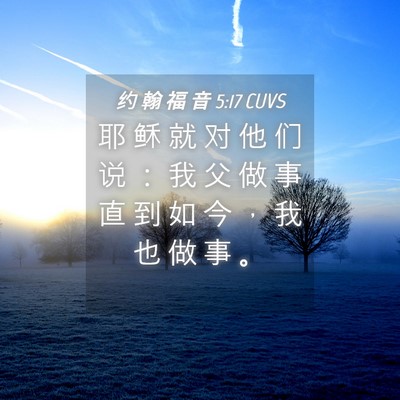 Picture 04 - 约 翰 福 音 5:17 CUVS - 耶 稣 就 对 他 们 说 ： 我 父 做 事 - Bible Verse Picture