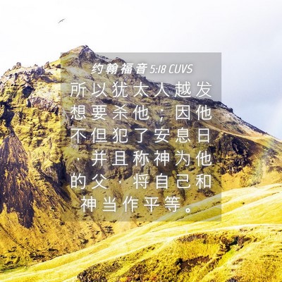 Picture 04 - 约 翰 福 音 5:18 CUVS - 所 以 犹 太 人 越 发 想 要 杀 他 ； - Bible Verse Picture