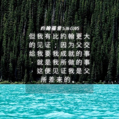 Picture 04 - 约 翰 福 音 5:36 CUVS - 但 我 有 比 约 翰 更 大 的 见 证 ； - Bible Verse Picture