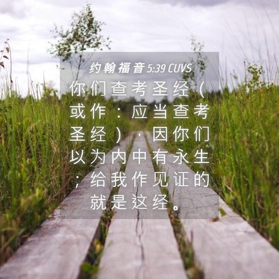 Picture 04 - 约 翰 福 音 5:39 CUVS - 你 们 查 考 圣 经 （ 或 作 ： 应 当 - Bible Verse Picture