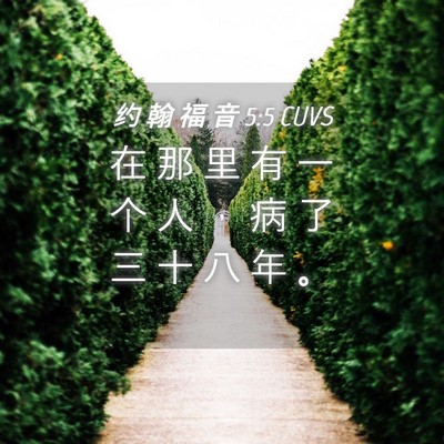 Picture 04 - 约 翰 福 音 5:5 CUVS - 在 那 里 有 一 个 人 ， 病 了 三 十 - Bible Verse Picture