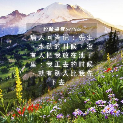 Picture 04 - 约 翰 福 音 5:7 CUVS - 病 人 回 答 说 ： 先 生 ， 水 动 的 - Bible Verse Picture