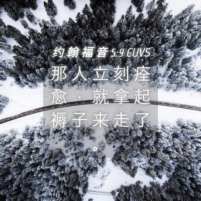 Picture 04 - 约 翰 福 音 5:9 CUVS - 那 人 立 刻 痊 愈 ， 就 拿 起 褥 子 - Bible Verse Picture
