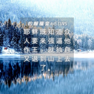 Picture 04 - 约 翰 福 音 6:15 CUVS - 耶 稣 既 知 道 众 人 要 来 强 逼 他 - Bible Verse Picture