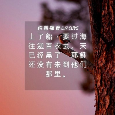 Picture 04 - 约 翰 福 音 6:17 CUVS - 上 了 船 ， 要 过 海 往 迦 百 农 去 - Bible Verse Picture