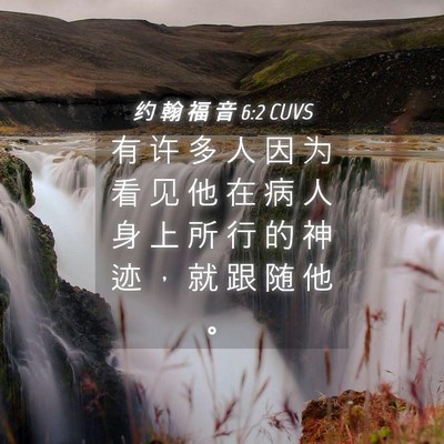 Picture 04 - 约 翰 福 音 6:2 CUVS - 有 许 多 人 因 为 看 见 他 在 病 人 - Bible Verse Picture