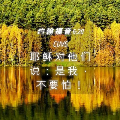 Picture 04 - 约 翰 福 音 6:20 CUVS - 耶 稣 对 他 们 说 ： 是 我 ， 不 要 - Bible Verse Picture