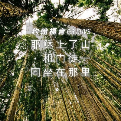 Picture 04 - 约 翰 福 音 6:3 CUVS - 耶 稣 上 了 山 ， 和 门 徒 一 同 坐 - Bible Verse Picture