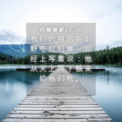 Picture 04 - 约 翰 福 音 6:31 CUVS - 我 们 的 祖 宗 在 旷 野 吃 过 吗 哪 - Bible Verse Picture