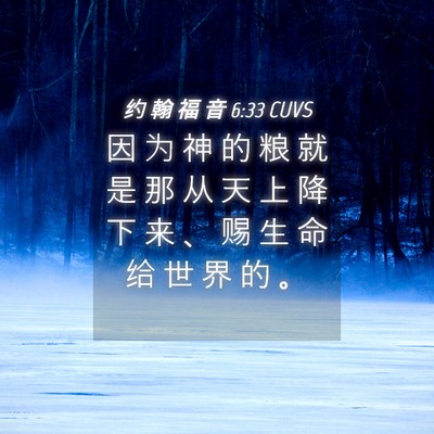 Picture 04 - 约 翰 福 音 6:33 CUVS - 因 为 神 的 粮 就 是 那 从 天 上 降 - Bible Verse Picture