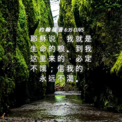 Picture 04 - 约 翰 福 音 6:35 CUVS - 耶 稣 说 ： 我 就 是 生 命 的 粮 。 - Bible Verse Picture