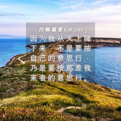 Picture 04 - 约 翰 福 音 6:38 CUVS - 因 为 我 从 天 上 降 下 来 ， 不 是 - Bible Verse Picture